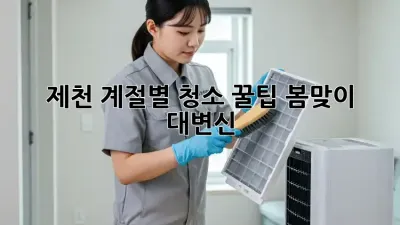 제천🏡 계절별 청소 꿀팁: 봄맞이 대변신✨